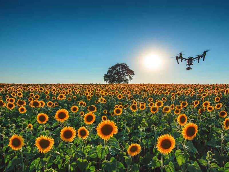 Se buscan mujeres para aprender a pilotar drones en la agricultura