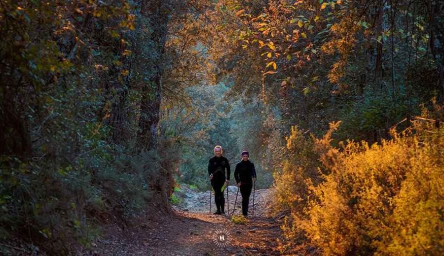El I Foro de Ecoturismo de Andalucía arranca hoy con el apoyo del GDR Sierra de Aracena y Picos de Aroche