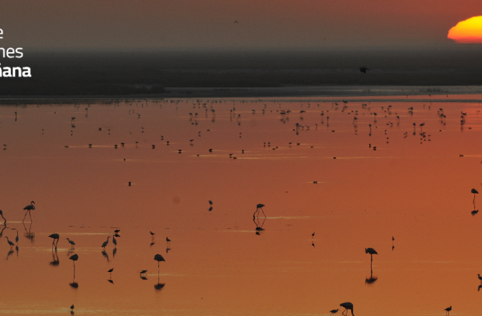 ARA coordinará Doñana Cero Emisiones, un proyecto de descarbonización y economía circular en el Espacio Natural de Doñana