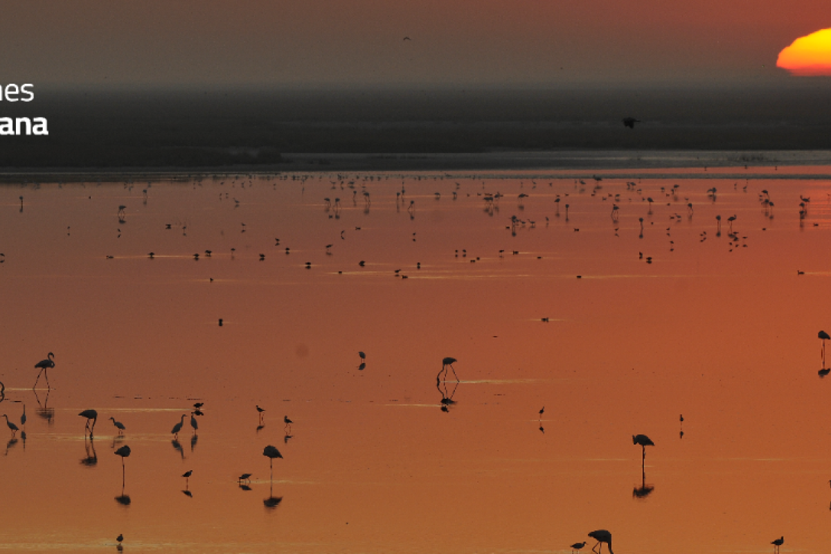 ARA coordinará Doñana Cero Emisiones, un proyecto de descarbonización y economía circular en el Espacio Natural de Doñana