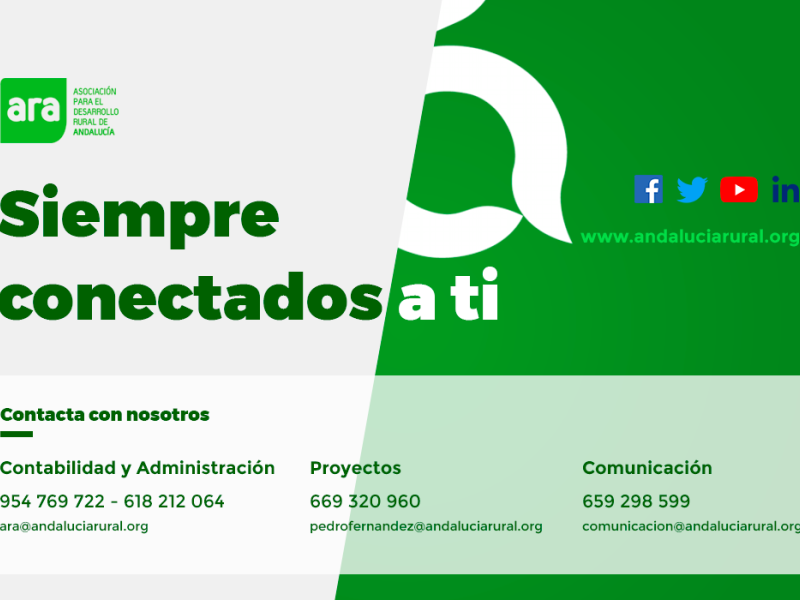 Teletrabajo equipo técnico de ARA