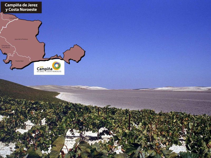 Campina Jerez c40e57fe