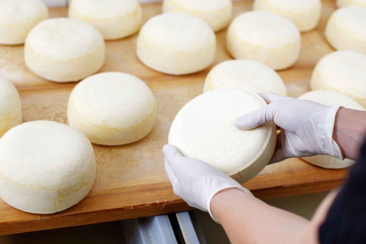 IFAPA pone en marcha una nueva edición del curso formativo de Especialista en Quesería