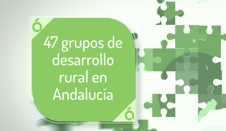 ARA renueva las certificaciones en calidad, medioambiente y responsabilidad social