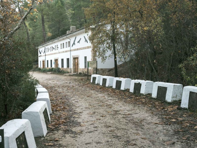 Yoga y meditación en las montañas: un retiro LEADER en Sierra Cazorla