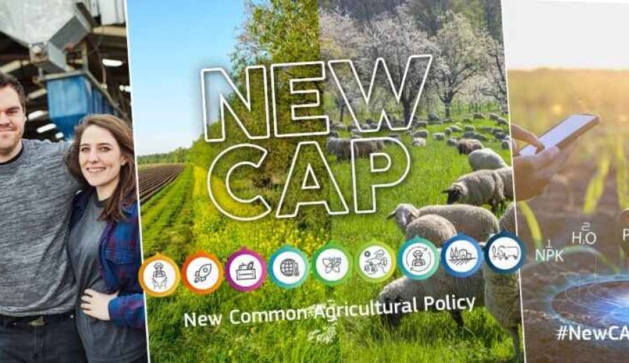 La Comisión aprueba el Plan Estratégico de la PAC 2023-2027 de España