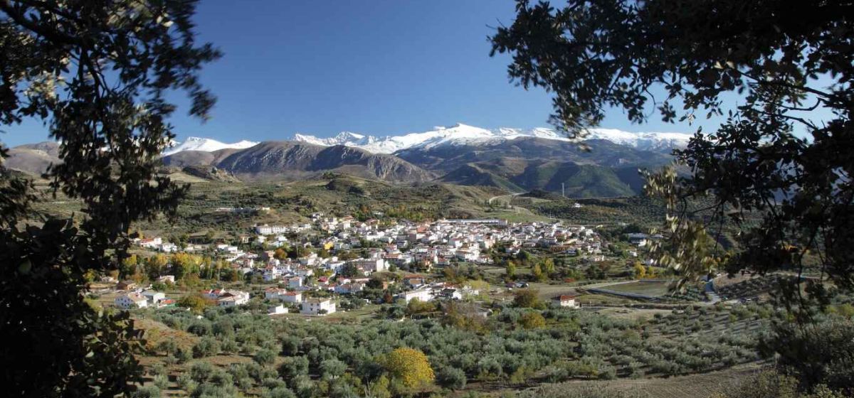 la vega de granada c8f2452f