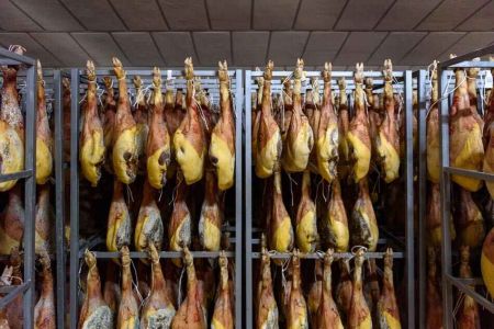 GDR 10 Secaderos Montesur 131 c9c06b70