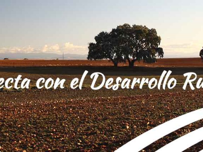 El papel de los Grupos de Acción Local para la reactivación de los territorios rurales frente a la crisis del COVID19