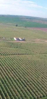 img juan exposito c9b4c0a5