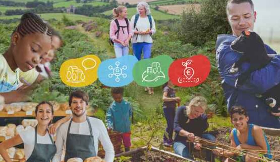 El Consejo Económico y Social Europeo respalda la Visión Largo Plazo para las Zonas Rurales de la UE, el Pacto Rural y la creación de un Observatorio Rural