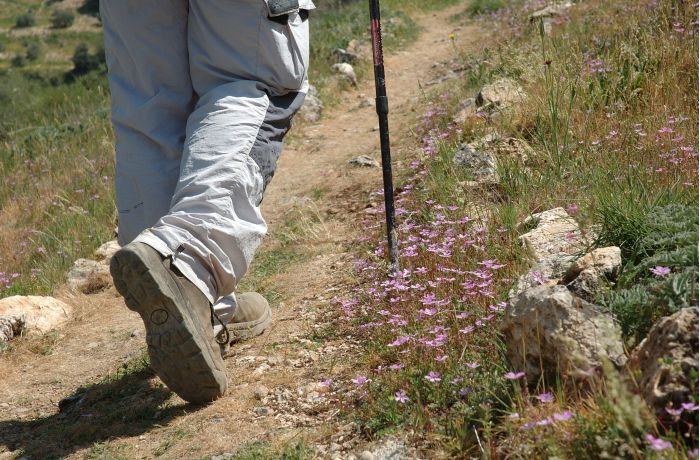 Intercambio de experiencias “Cooperación LEADER” de la Red PAC  en marzo