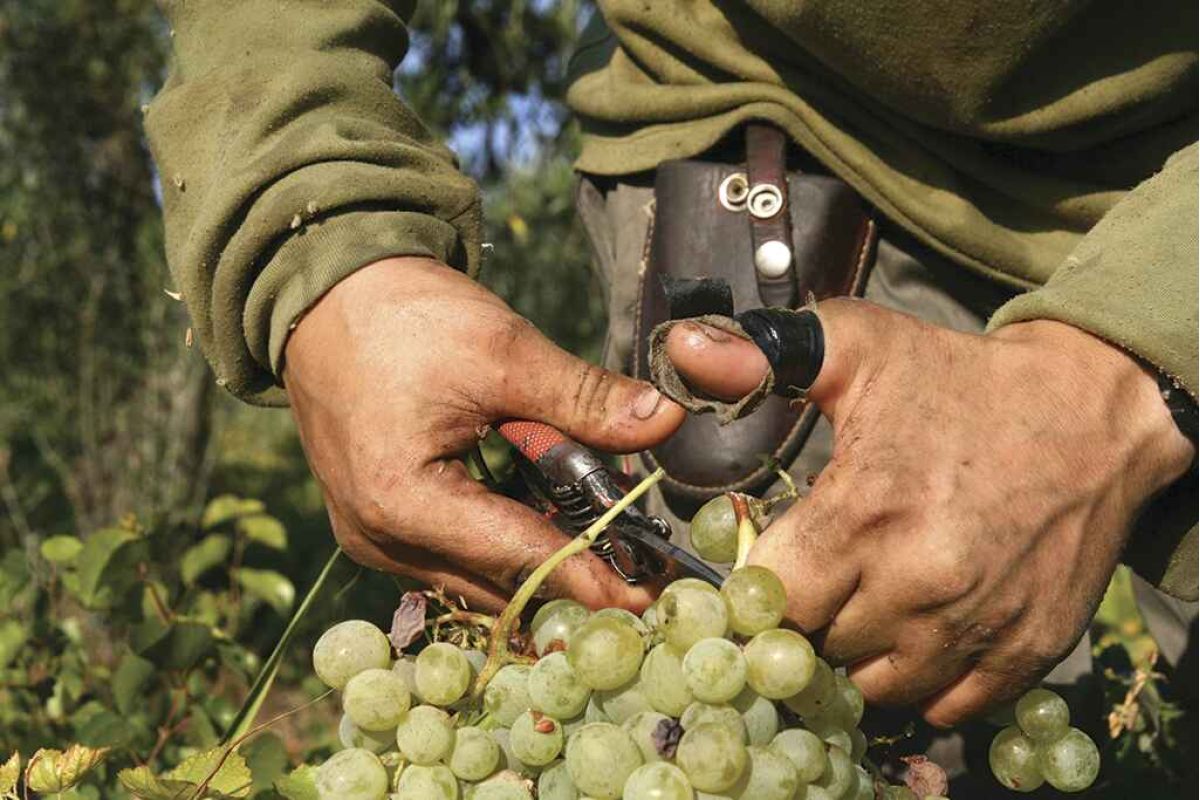 La agricultura, entre los sectores mejor valorados tras la COVID-19
