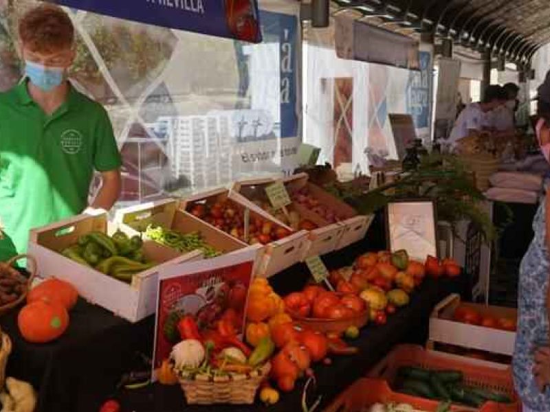 El tomate Huevo de Toro sobrevive a la incertidumbre con su tradicional subasta benéfica: 1.550 euros por el mejor lote