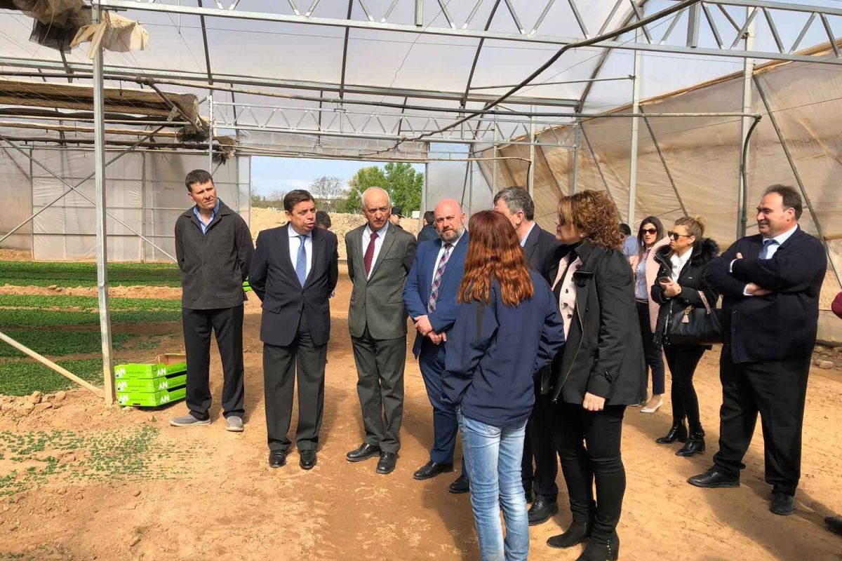 Luis Planas anima a las cooperativas a ganar dimensión y apostar por la transformación para generar mayor riqueza en el mundo rural