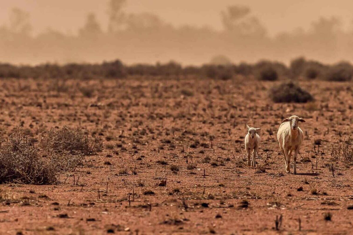 Lo que la España urbana debe a la España despoblada