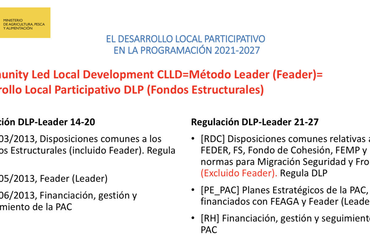 El Desarrollo Local Participativo en la Programación 2021-2027: subsidiariedad, simplificación y nuevo sistema de gestión y control