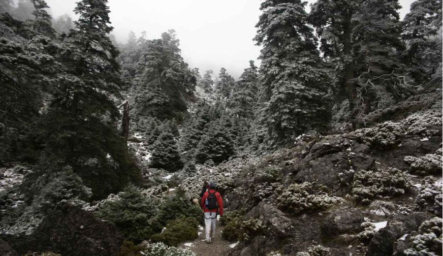 El Gobierno aprueba el proyecto de Ley para la declaración del Parque Nacional de la Sierra de las Nieves