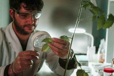 img galeria innovacion agro 002 cfee0b23