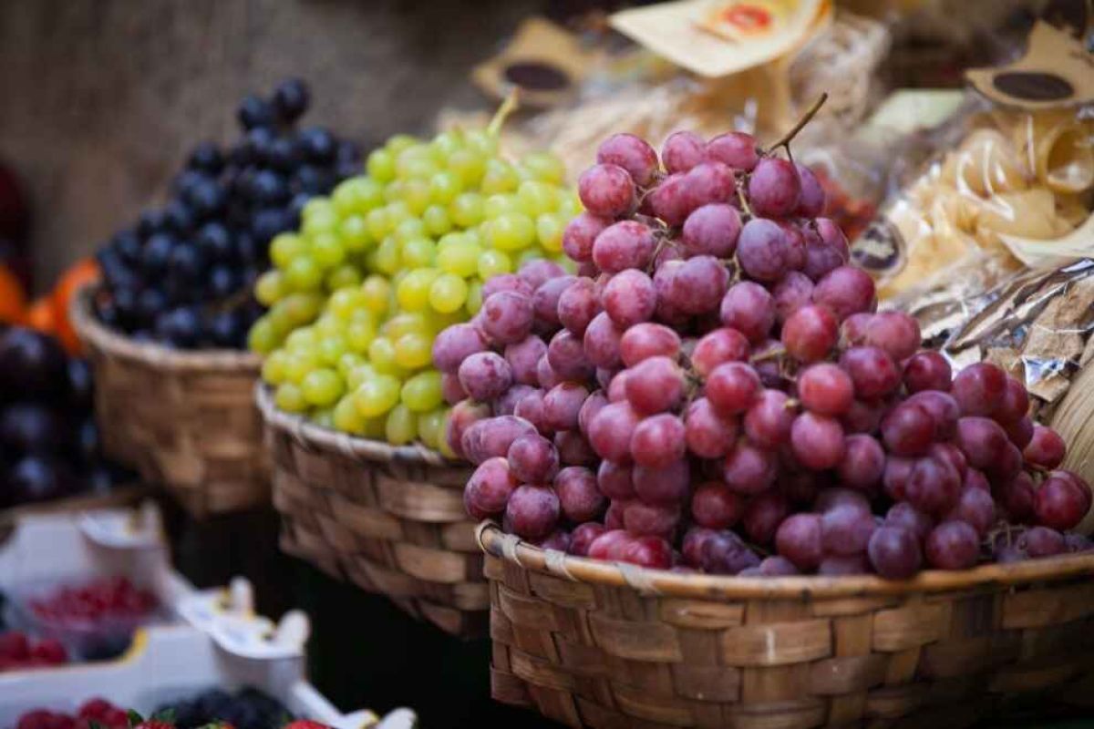 El 10 % de la superficie agraria en España ya es ecológica y supera los 2,4 millones de hectáreas en 2020