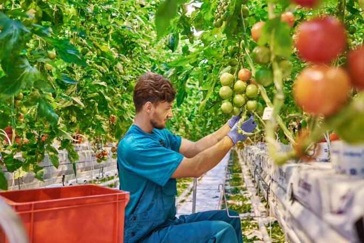 ES Andalucía: «Solo una cuarta parte del valor añadido de la cadena alimentaria corresponde al agricultor»