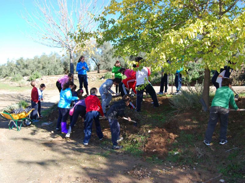 50 kilómetros en bus para ir y volver del colegio por el cierre de aulas rurales en Andalucía