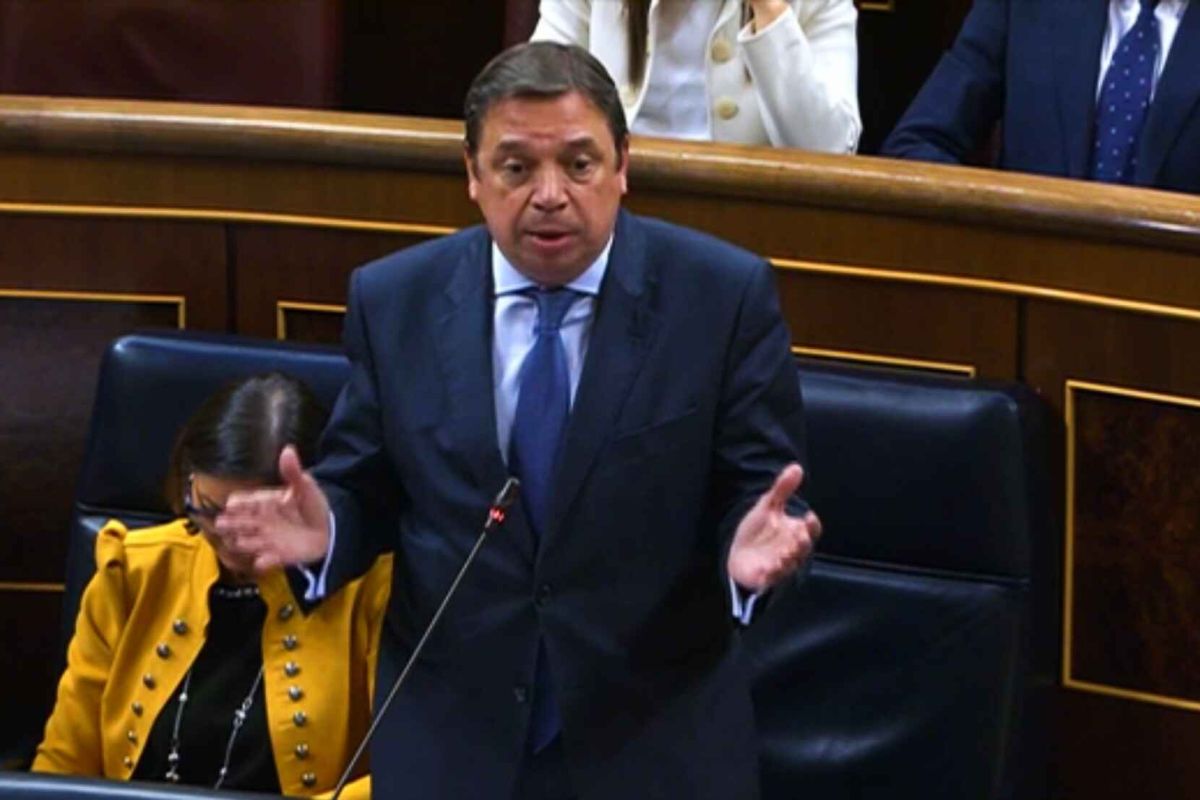 Luis Planas valora positivamente el trabajo del Gobierno en defensa de los agricultores y ganaderos en la PAC