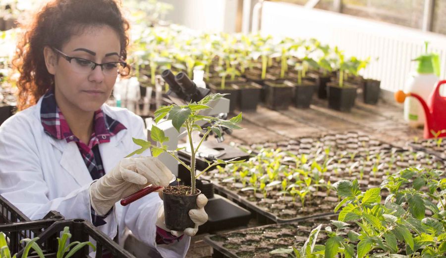 La cuarta parte del emprendimiento en España es andaluz