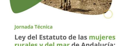 555957276 1123416299977051 3205518071593771179 n d257dda5