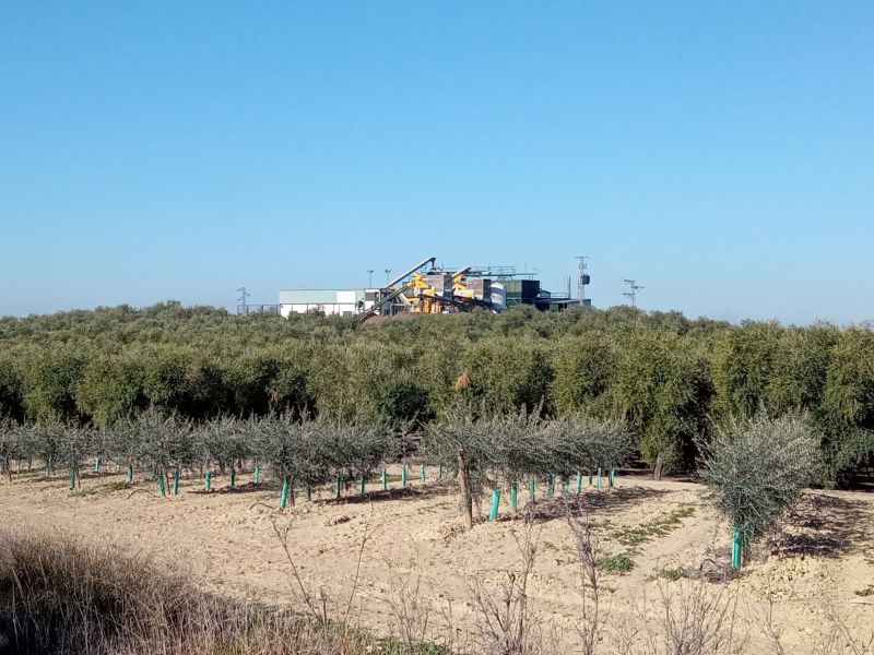 Montilla acoge unas jornadas para analizar las alianzas entre territorios sostenibles y biodistritos