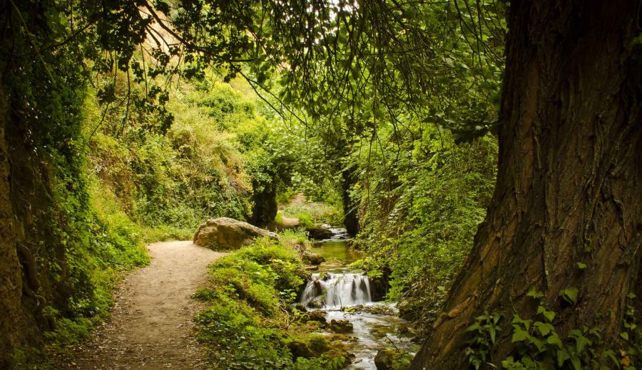 El mundo rural es necesario para cumplir con la Agenda 2020-2030