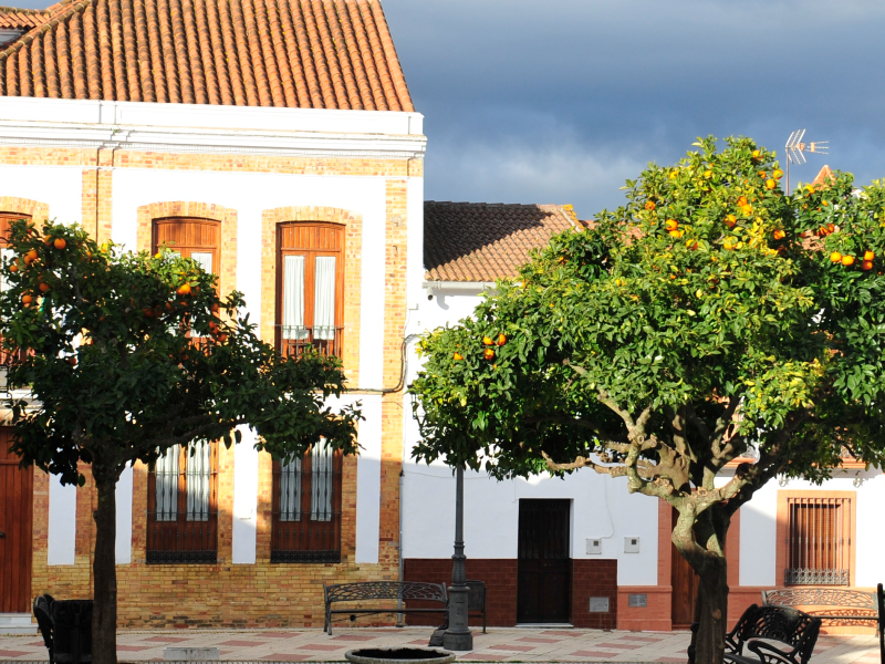 SierraAlimenta Huelva empieza a dar sus frutos  con el I Mercado Local en Berrocal