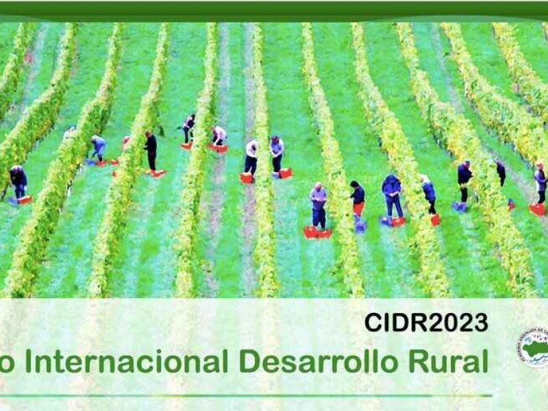 FyfUhOQXwAURQQm d320b39b