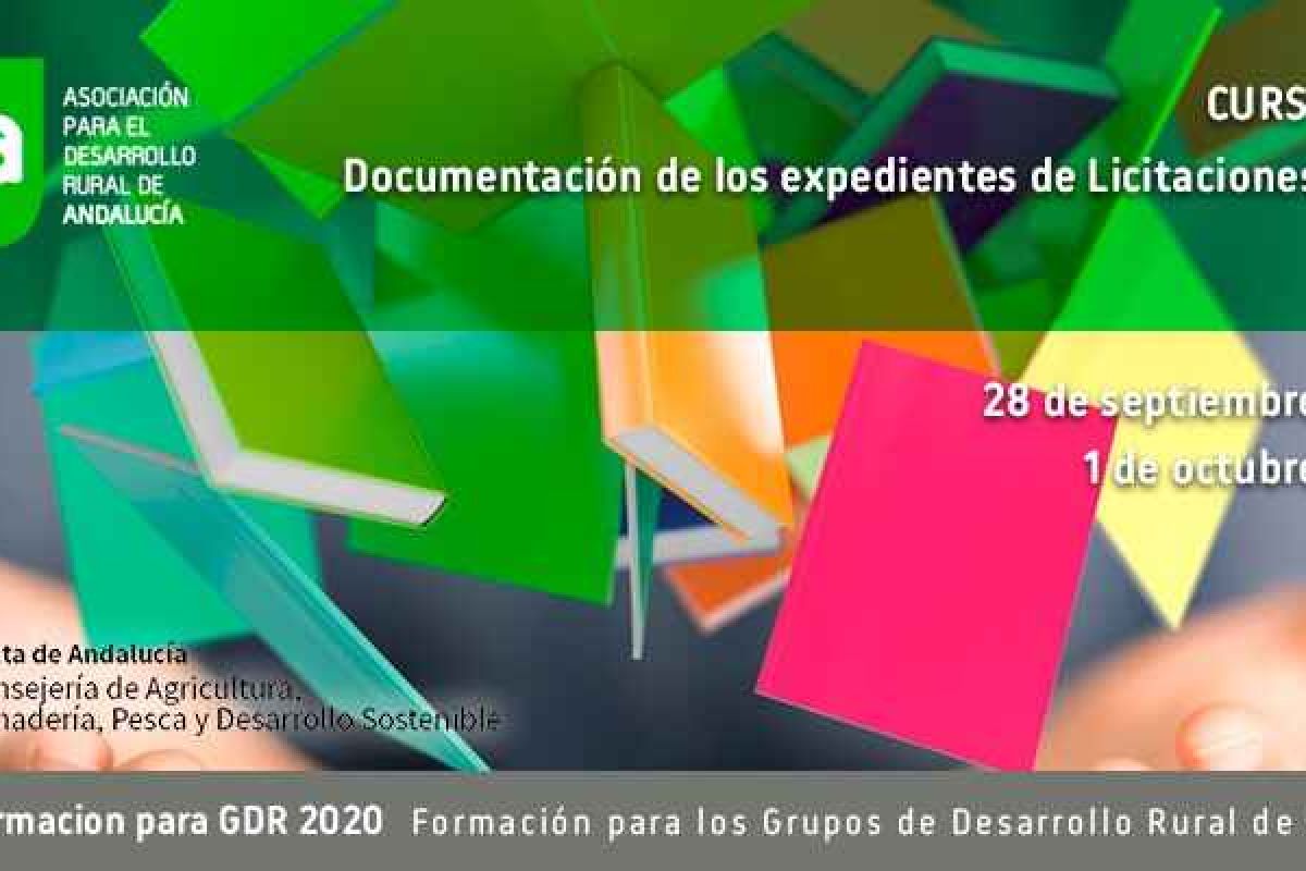 Curso Online “Documentación de los expedientes de licitaciones públicas”