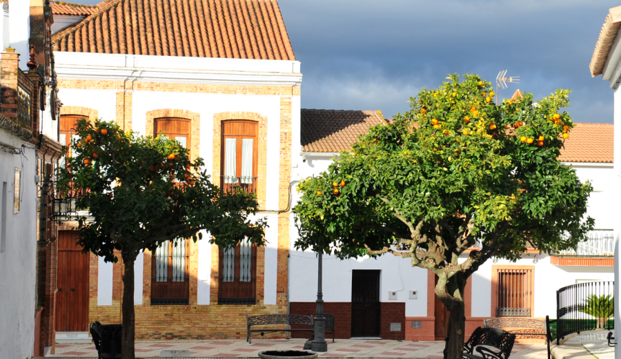 SierraAlimenta Huelva empieza a dar sus frutos  con el I Mercado Local en Berrocal