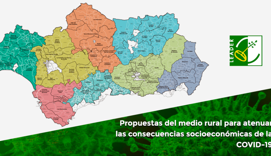 Propuestas LEADER para atenuar las consecuencias socioeconómicas de la COVID-19 en el medio rural