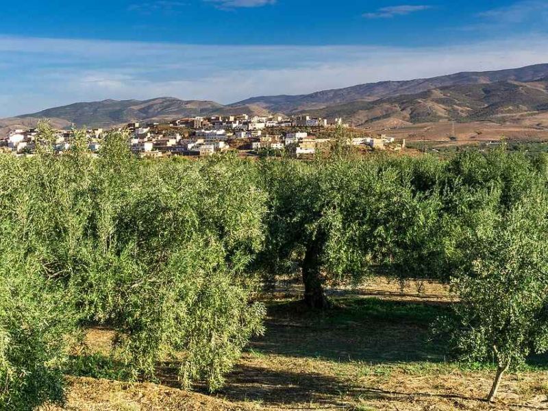 Luis Planas: Estamos ante una nueva PAC que impulsará la agricultura profesional para responder a los retos del próximo decenio