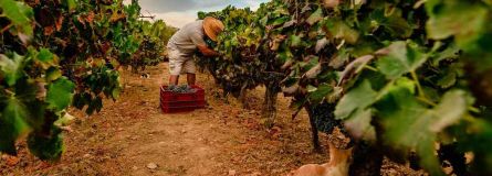 FAg0WYtXsAMV Zc d7da415f