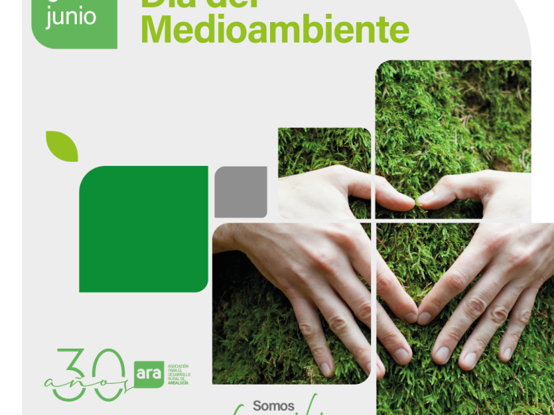 Sistema de Gestión Ambiental, herramienta fundamental en la labor de ARA