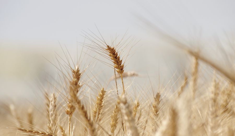 La Comisión Europea renueva el Máster Erasmus Mundus en Desarrollo Rural