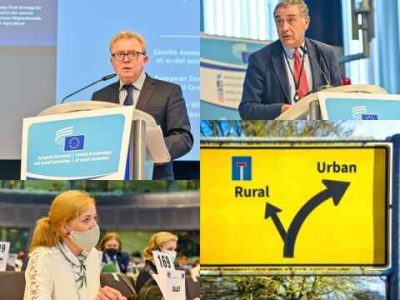 Aprobada la estrategia integral para el desarrollo urbano y rural equilibrado del Comité Económico y Social Europeo