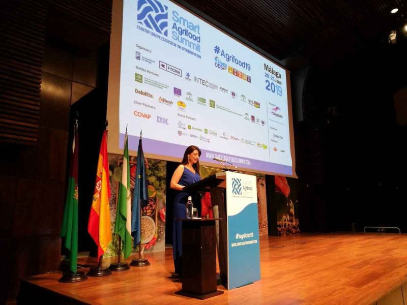 Isabel Bombal, directora general de Desarrollo Rural, Innovación y Política Forestal del MAPA, anima a aprovechar las nuevas tecnologías para avanzar en competitividad y sostenibilidad