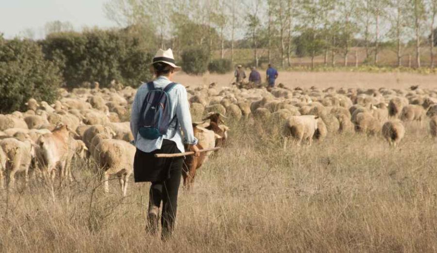 La esperanza del clima es rural y violeta