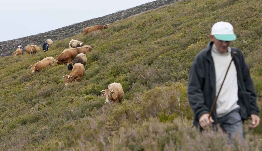 Formación y un sueldo durante ocho meses, la apuesta de la Deputación de Lugo para fijar población joven en el medio rural