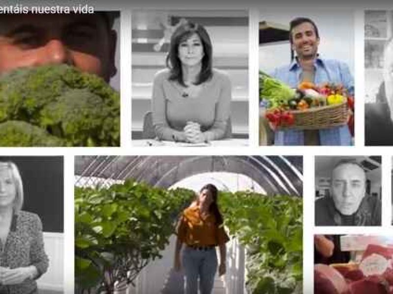 El Ministerio de Agricultura inicia la campaña #AlimentáisNuestraVida en apoyo de agricultores, ganaderos, pescadores y demás trabajadores del sector agroalimentario