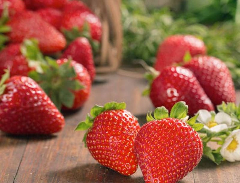 Netzero Doñana: producción ecológica y sostenible de frutos rojos en Almonte