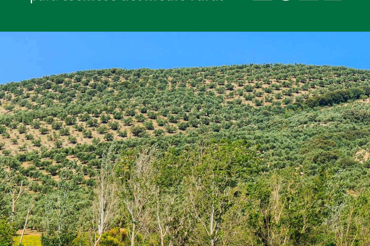 El Ministerio de Agricultura impulsa la formación como herramienta de modernización y cambio en el medio rural