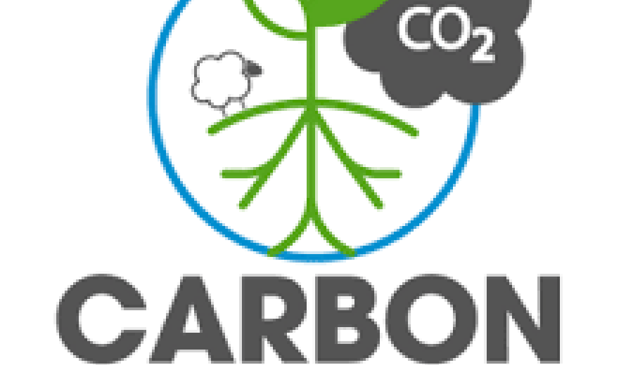 Ecovalia lanza una encuesta sobre la importancia de la agricultura de carbono
