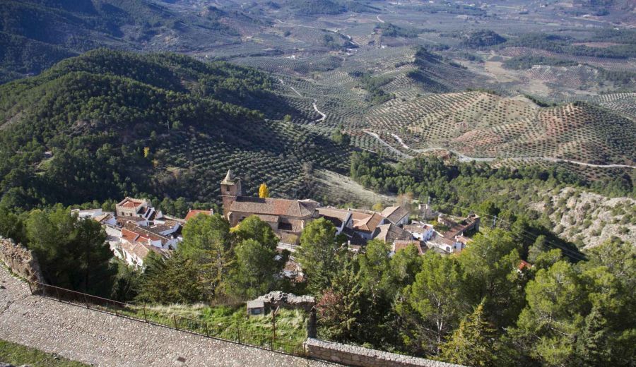 Sostenibilidad ambiental para el AOVE de Jaén