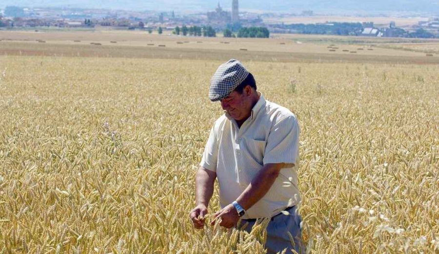 La Comisión propone ayudas temporales a los agricultores por los efectos del COVID-19